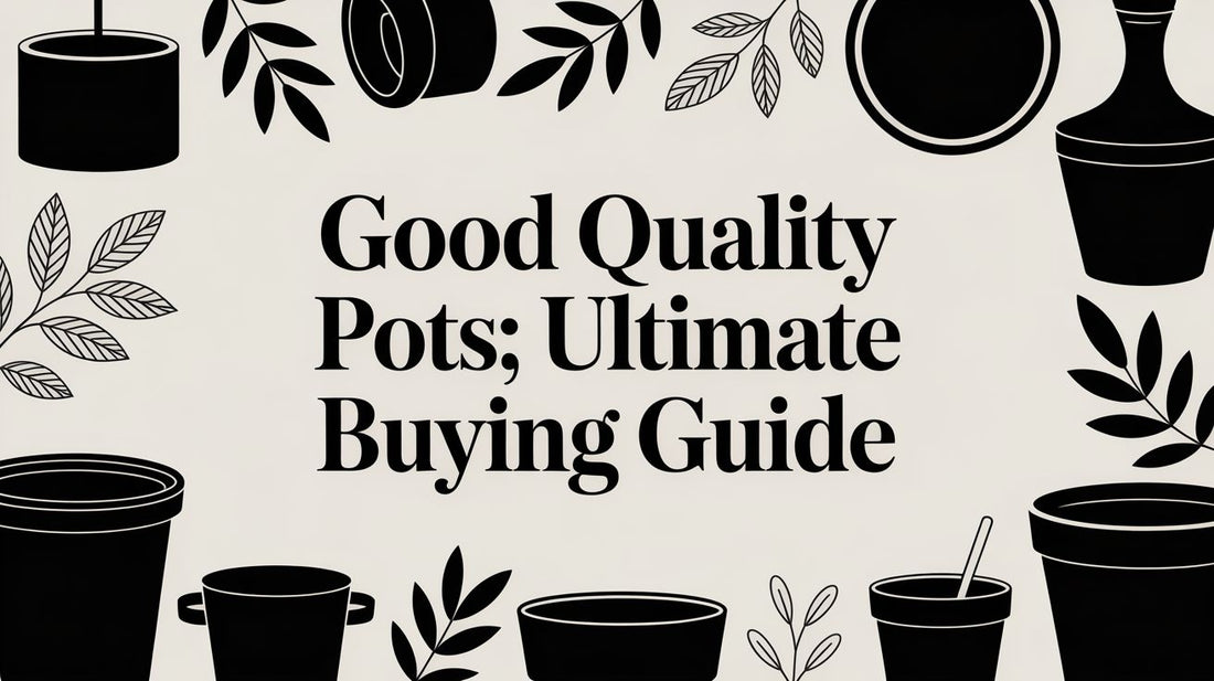 Good Quality Pots: Ultimate Buying Guide