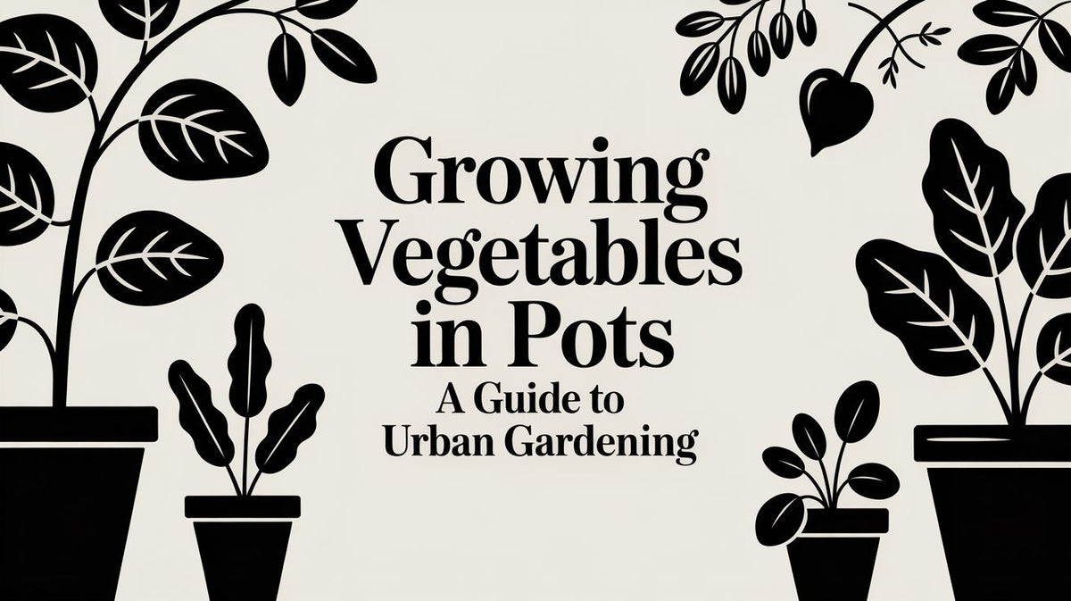 Growing Vegetables In Pots A Guide To Urban Gardening